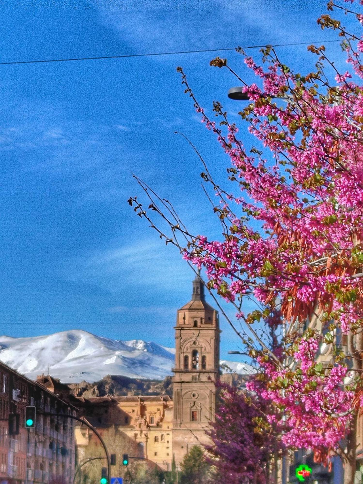 Cueva La Loli Villa Guadix Buitenkant foto