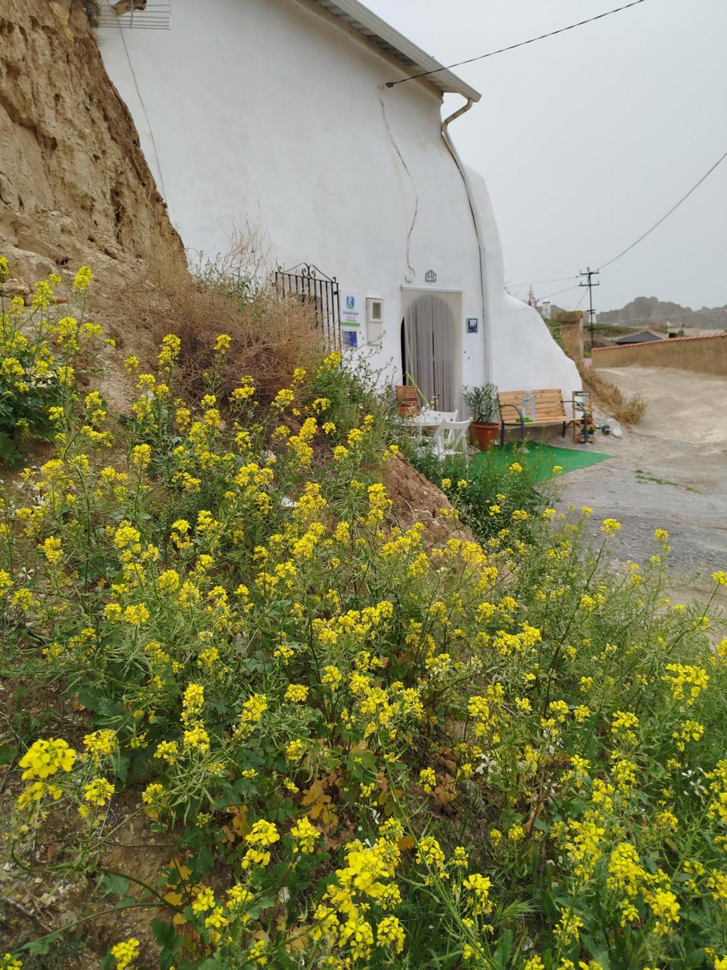 Cueva La Loli Villa Guadix Buitenkant foto