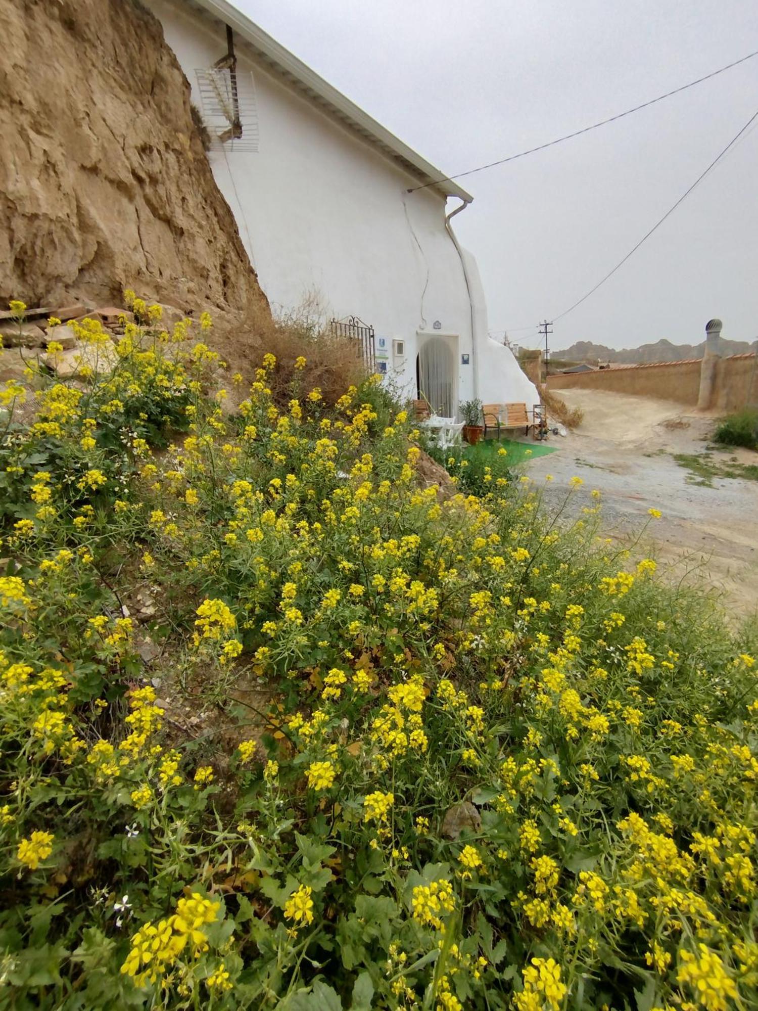 Cueva La Loli Villa Guadix Buitenkant foto